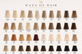 The Haus Collection