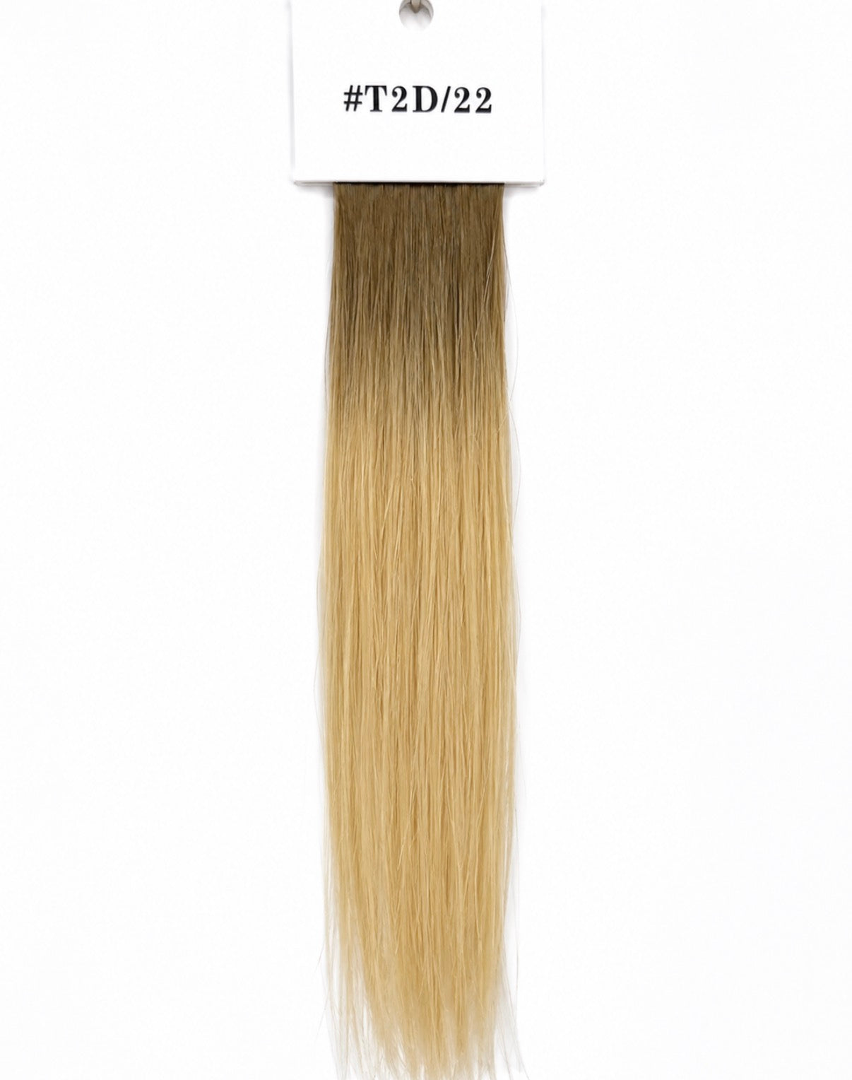 The Haus Collection
