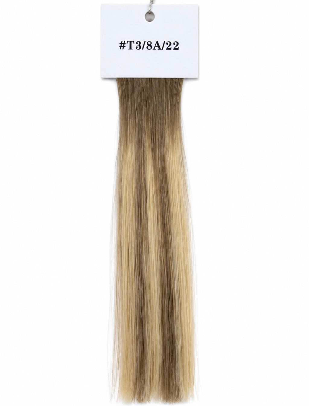 The Haus Collection