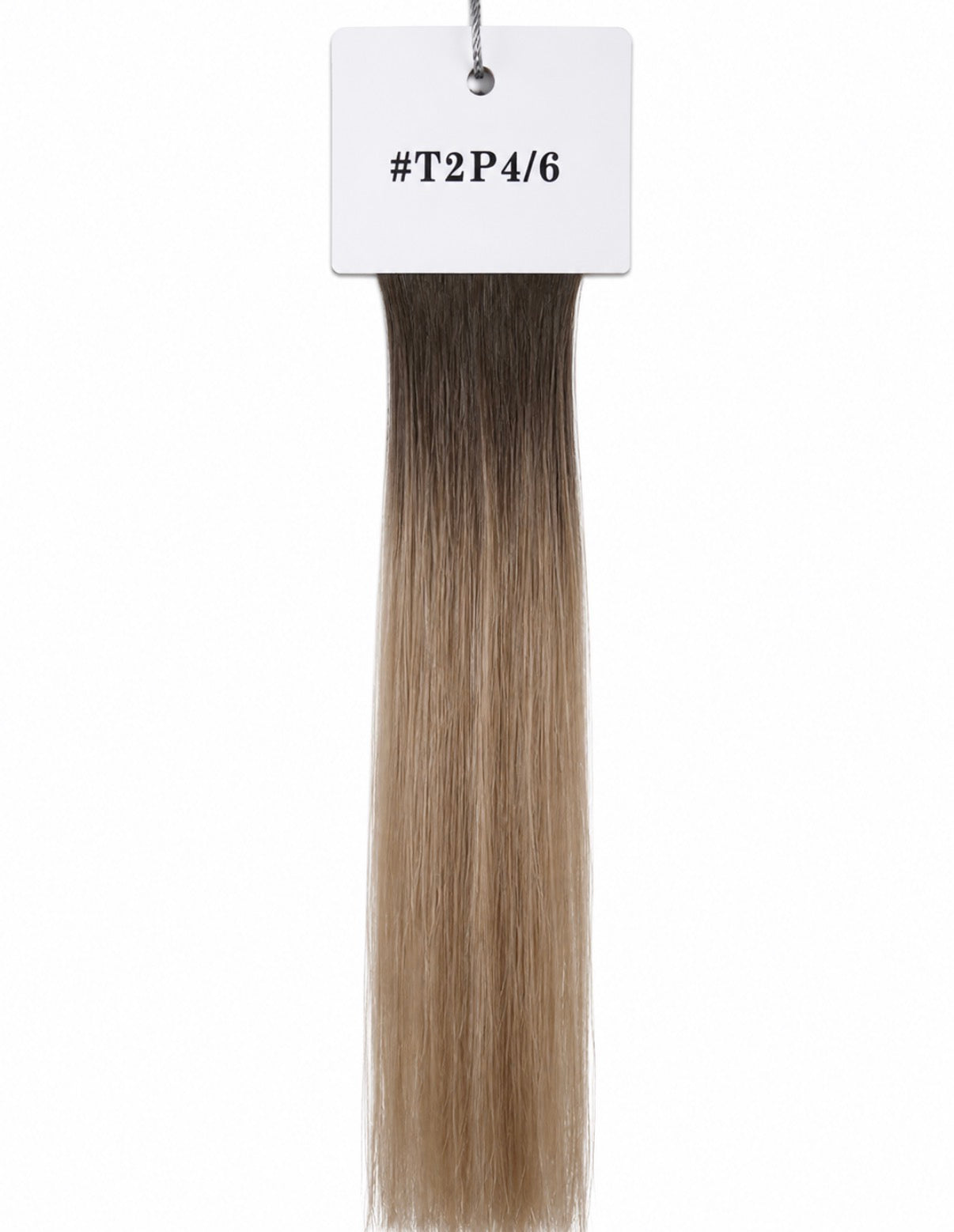 The Haus Collection