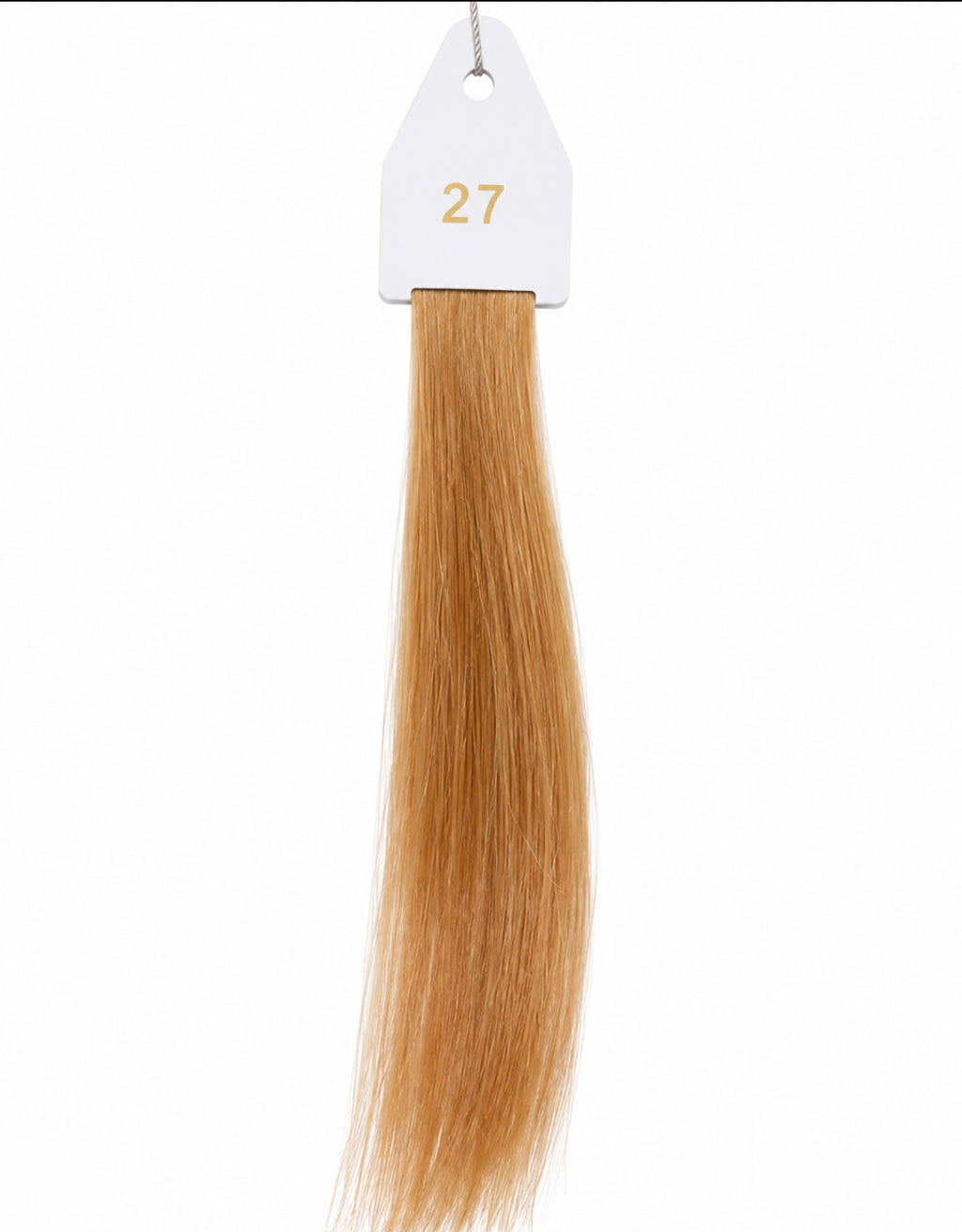 The Haus Collection