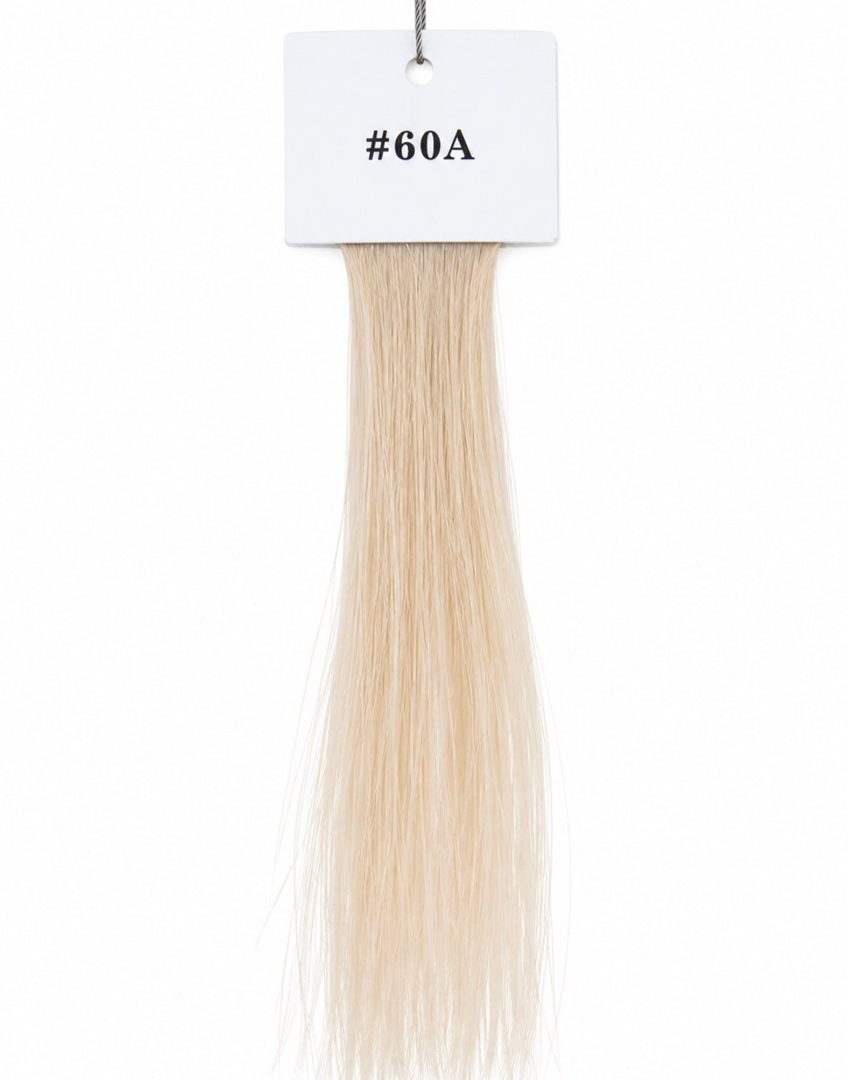 The Haus Collection
