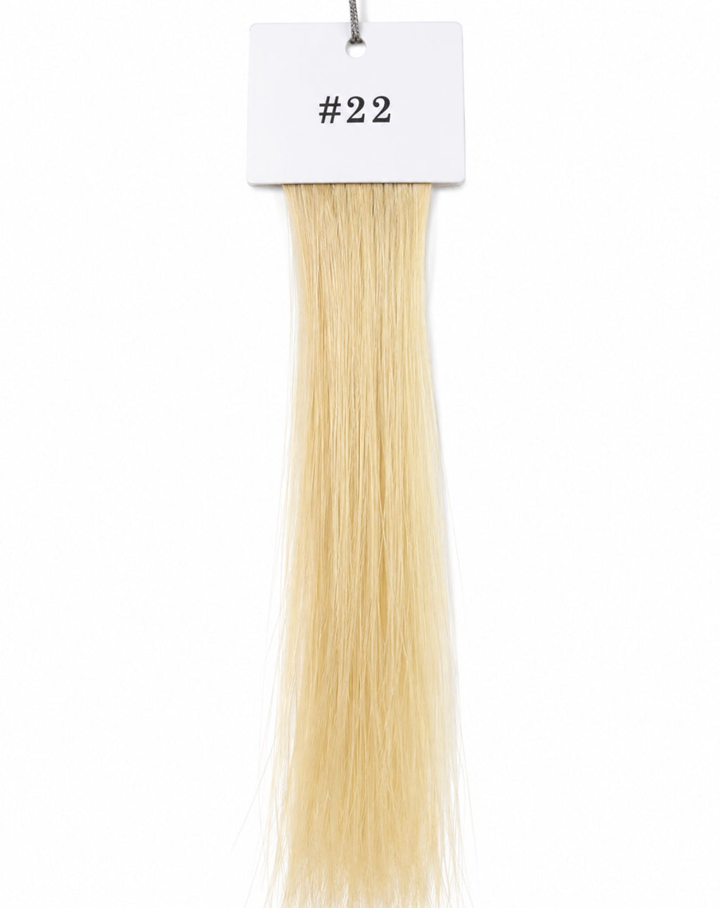 The Haus Collection