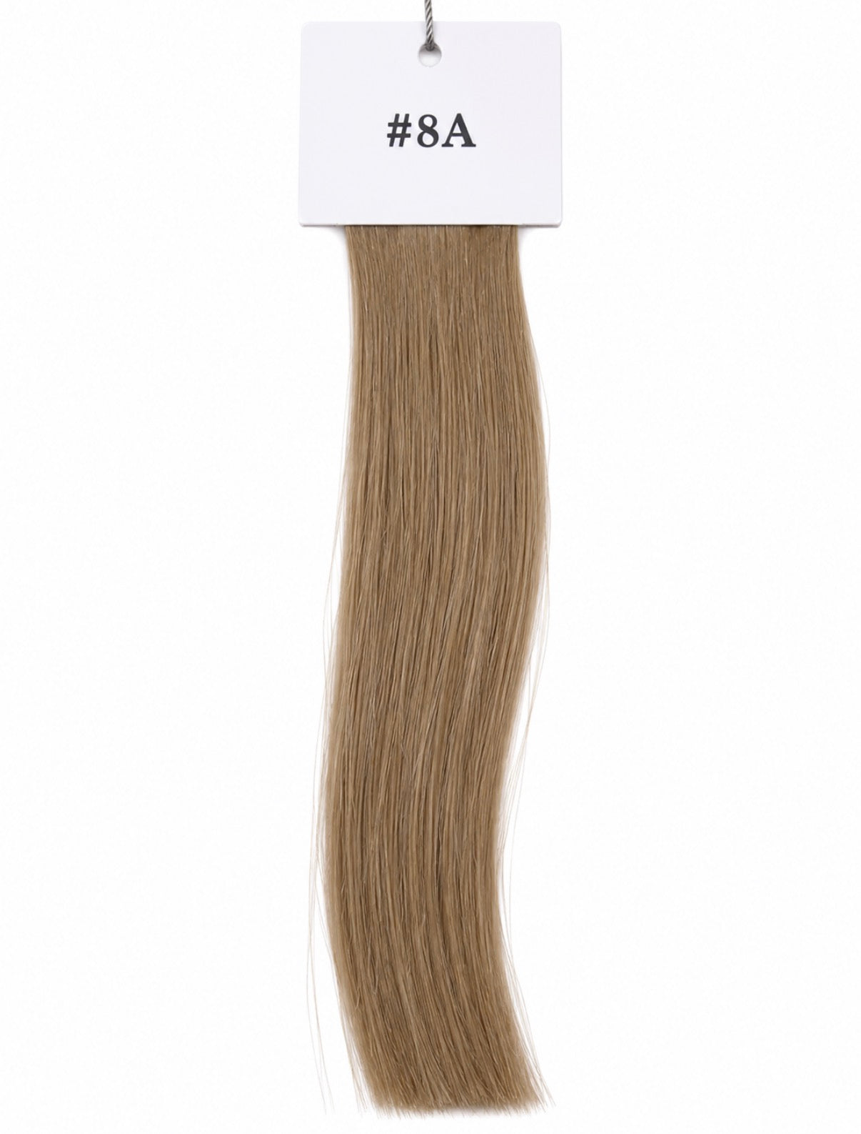 The Haus Collection