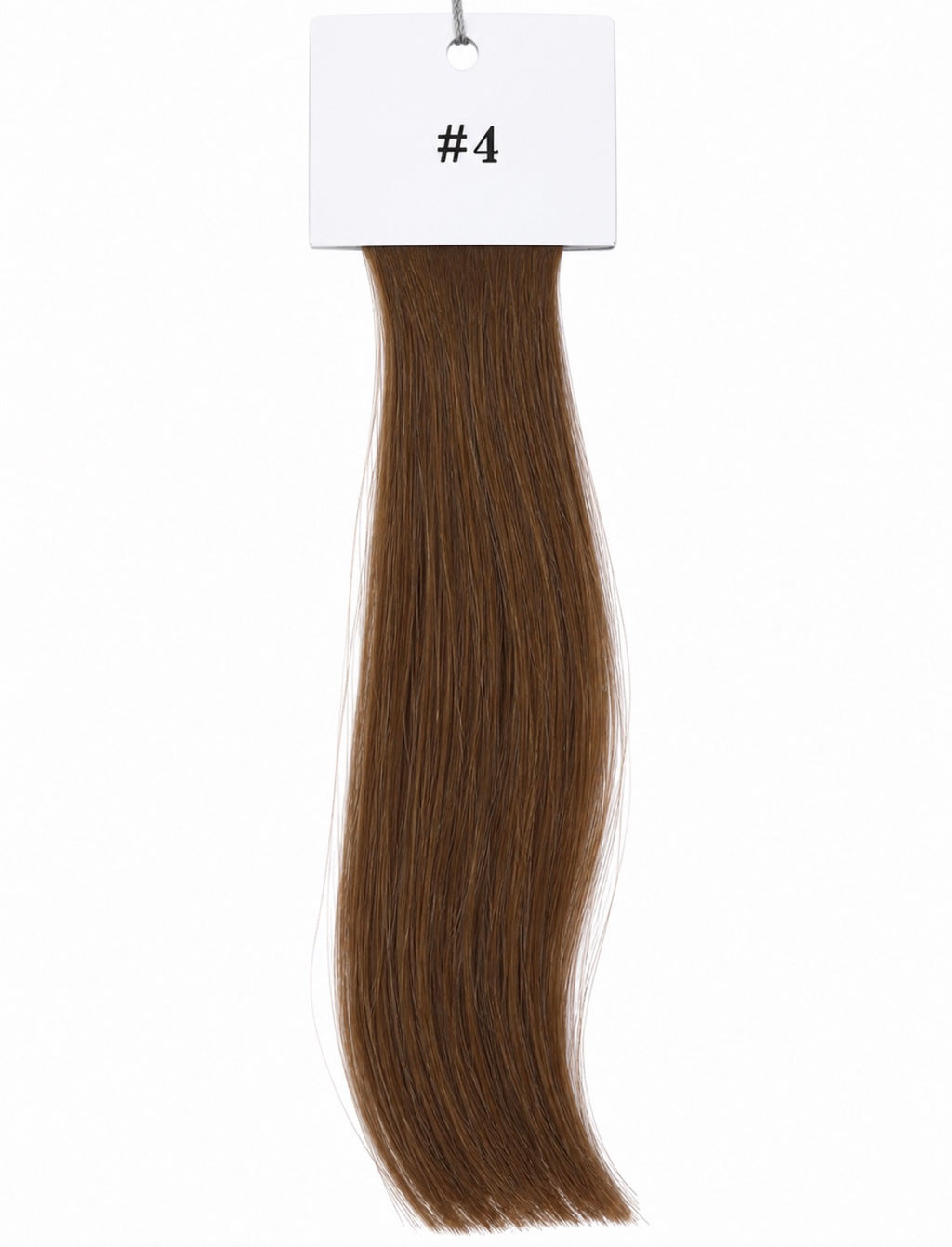 The Haus Collection